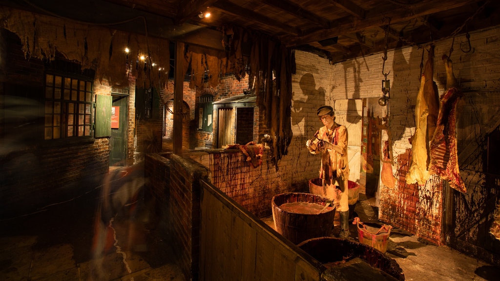 Thackray Medical Museum ofreciendo vistas interiores