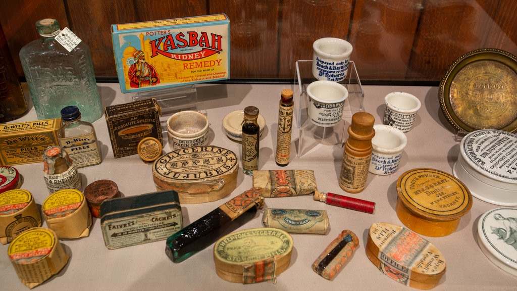 Thackray Medical Museum which includes heritage elements