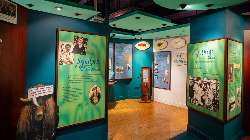 Thackray Medical Museum showing interior views and signage