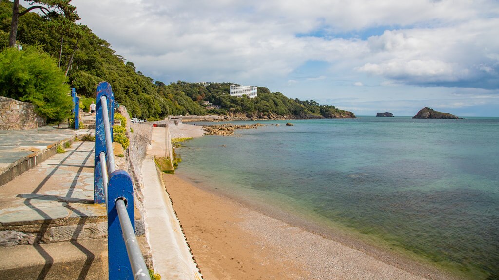 Meadfoot Beach showing general coastal views