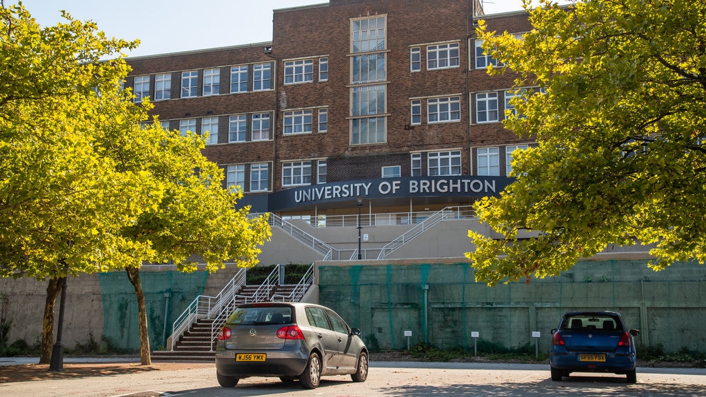 University of Brighton which includes signage