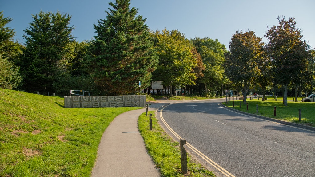 University of Sussex que incluye un parque