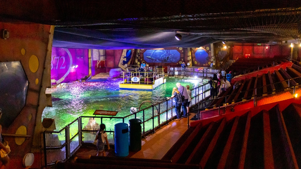 Brighton Sea Life Centre featuring interior views and marine life