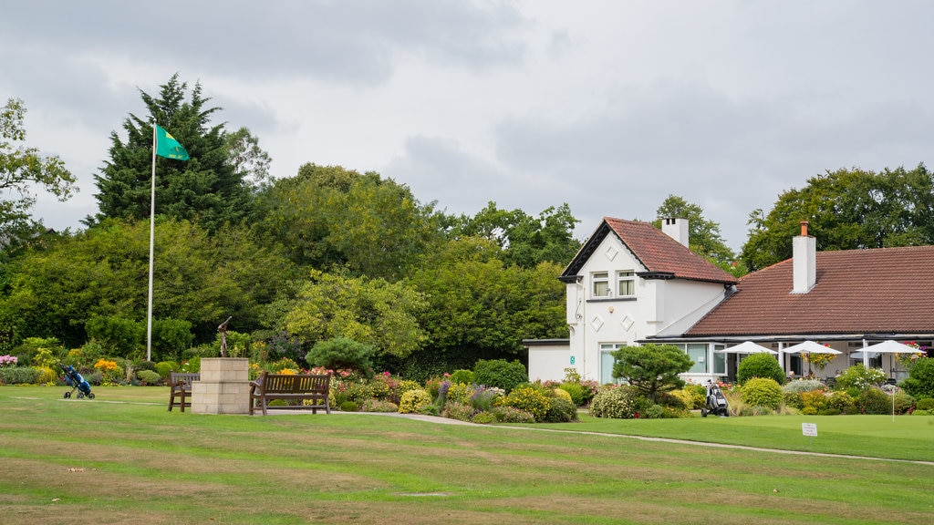 Harrogate Golf Club showing golf