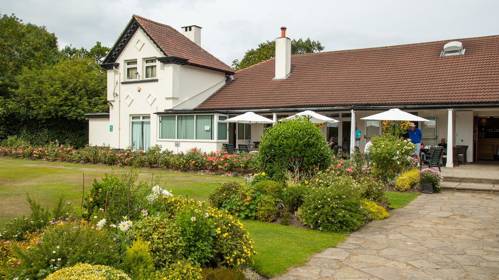 Harrogate Golf Club showing wild flowers and a garden