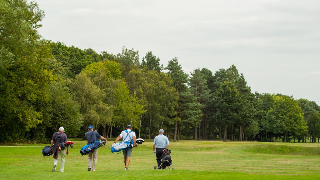 Harrogate Golf Club que inclui golfe assim como um pequeno grupo de pessoas