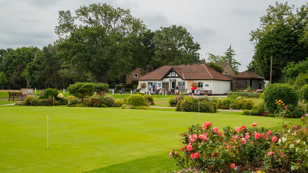 Club de golf Harrogate mostrando golf y flores