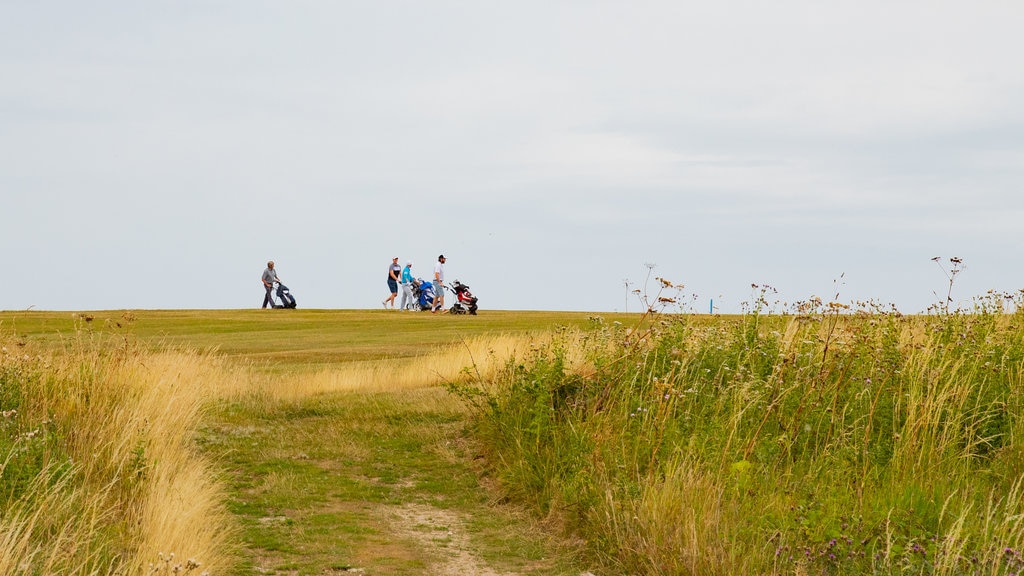 Whitby Golf Club showing golf as well as a small group of people