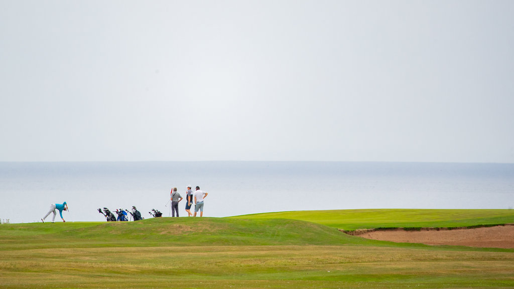 Whitby golfklubb som viser golf i tillegg til en liten gruppe med mennesker