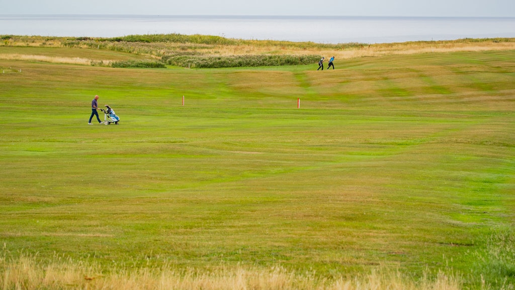 Whitby Golf Club featuring golf as well as a small group of people