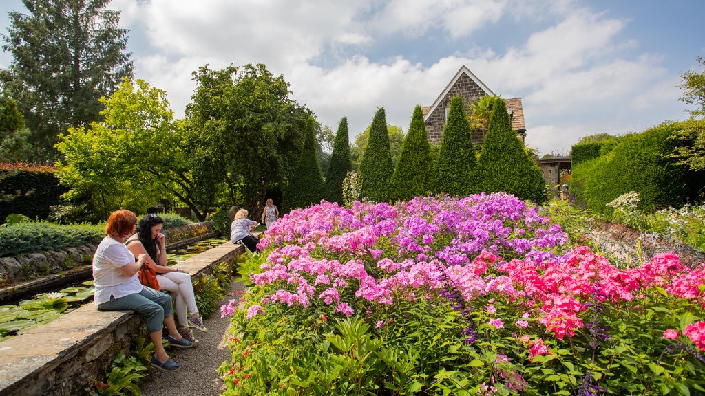 York Gate Garden featuring flowers and a garden