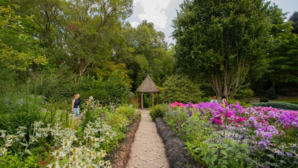 York Gate Garden showing flowers, wild flowers and a garden