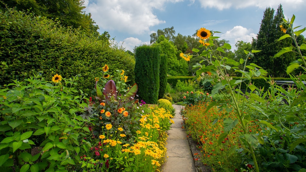 York Gate Garden caracterizando flores, flores silvestres e um jardim