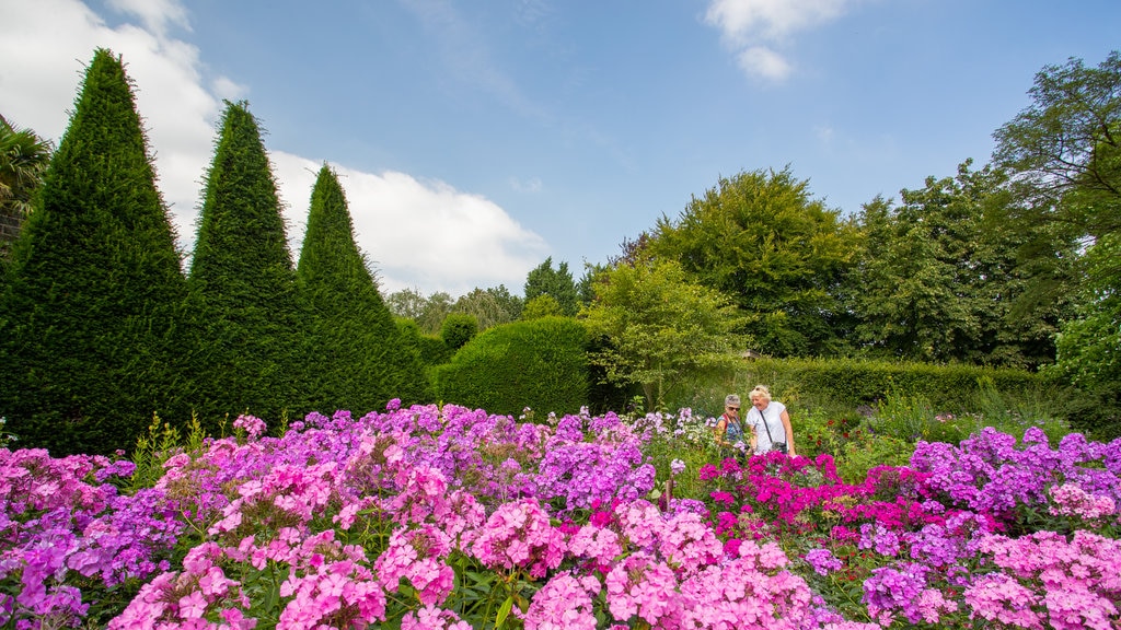 Jardín York Gate que incluye flores silvestres, flores y un parque