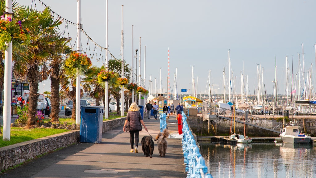 Inner Harbour featuring a bay or harbour