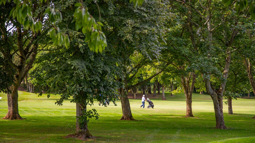 Torquay Golf Club menunjukkan golf