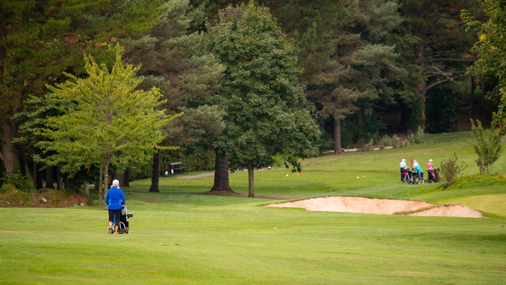 Torquay Golf Club showing golf as well as an individual female