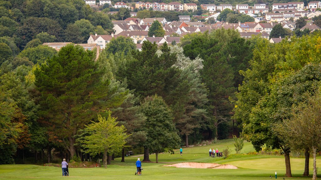 Torquay Golf Club showing golf and landscape views