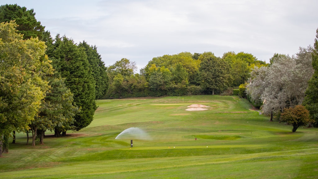 Torquay Golf Club que inclui golfe e paisagem