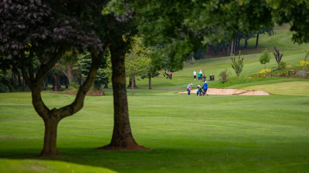 Club de golf Torquay Golf Club ofreciendo golf y también un pequeño grupo de personas