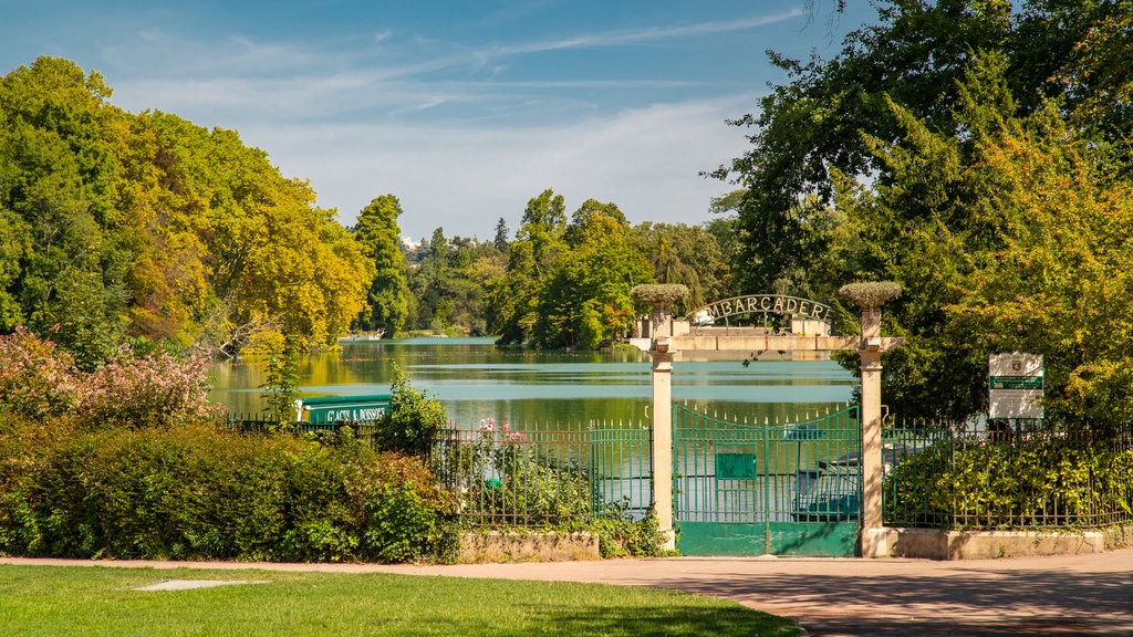 Tete d\'Or Park which includes a lake or waterhole and a garden