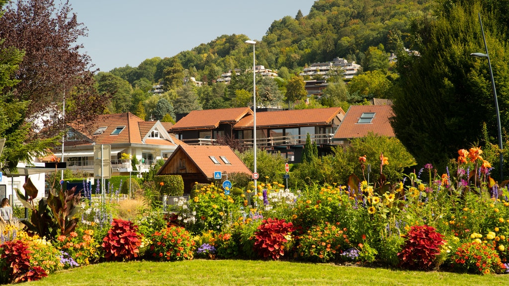 Annecy-le-Vieux que incluye flores silvestres, flores y un parque