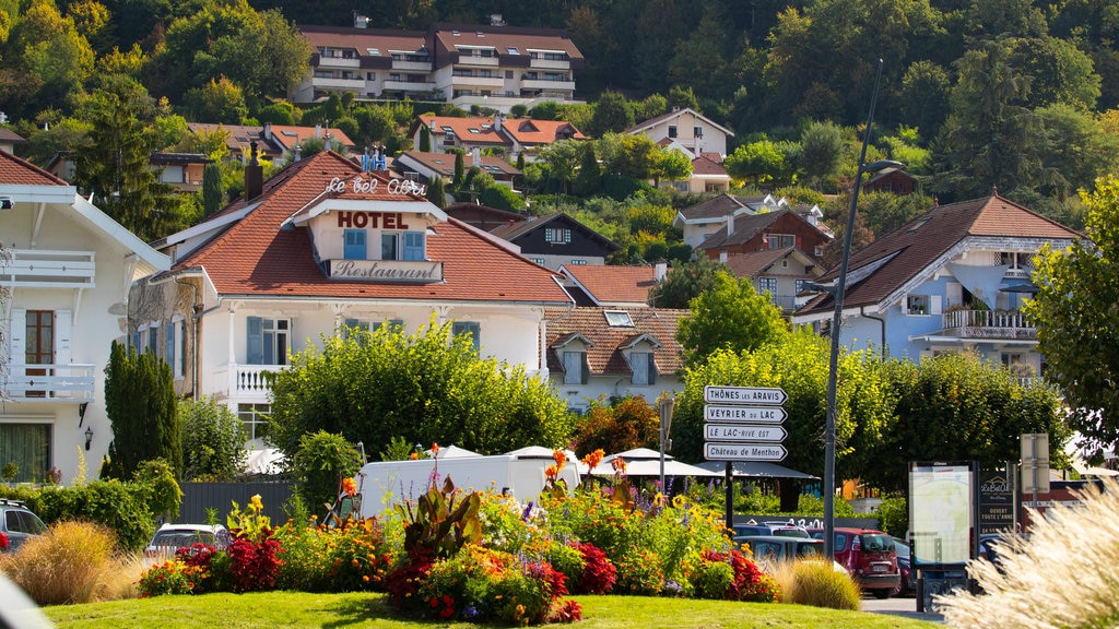 Annecy-le-Vieux menunjukkan kota kecil atau desa, kebun dan bunga