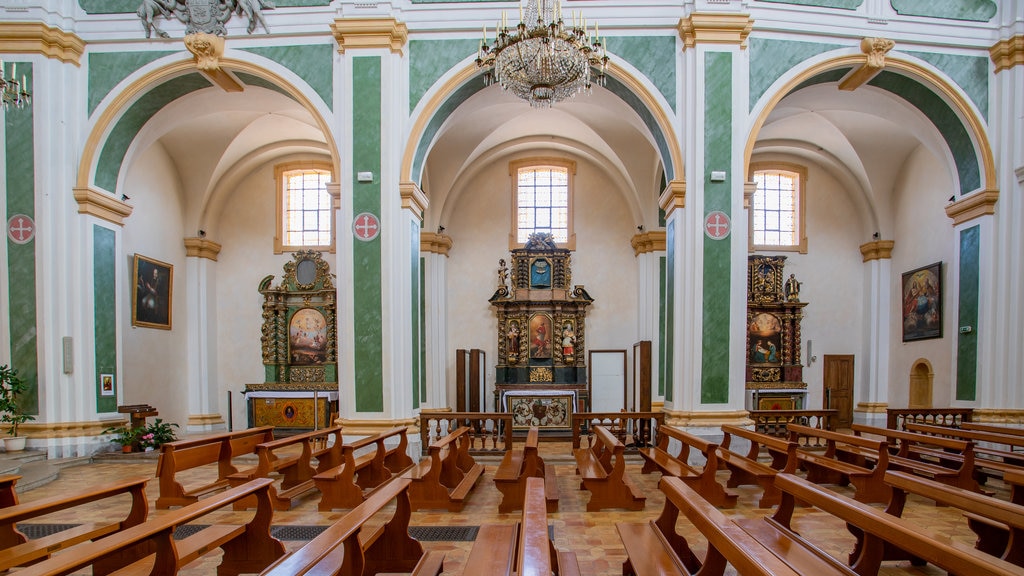 Church of St. Francis showing interior views, a church or cathedral and heritage elements