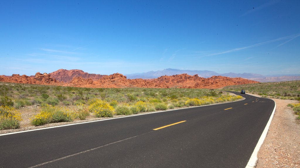 Estados Unidos que inclui paisagem e cenas tranquilas