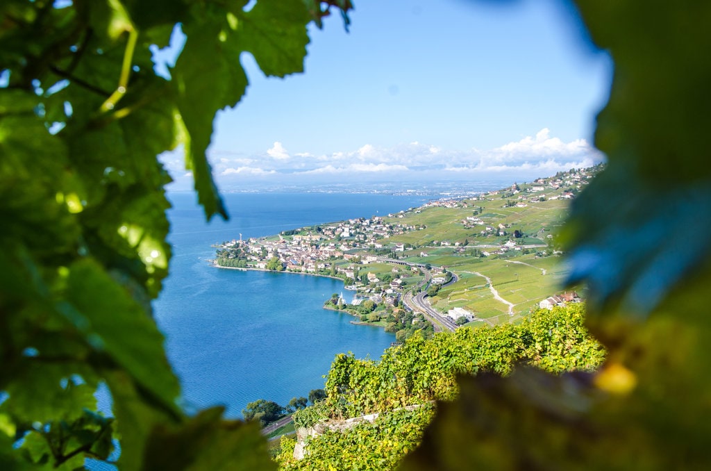 Weinberge Lavaux