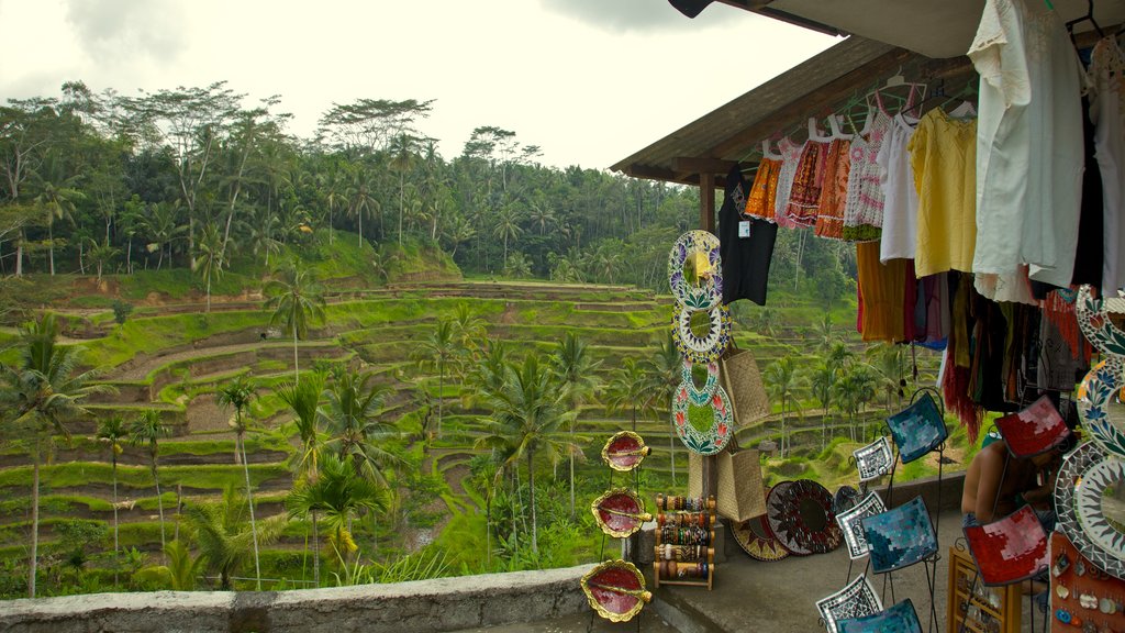 Tegallalang showing farmland, markets and a small town or village