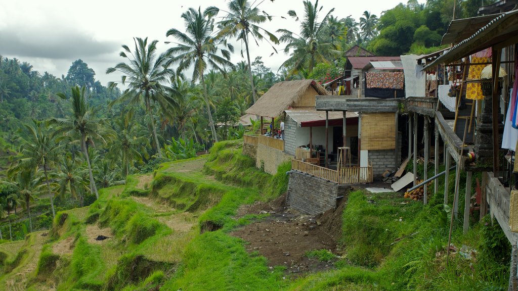 Tegallalang que incluye escenas tropicales y una pequeña ciudad o pueblo