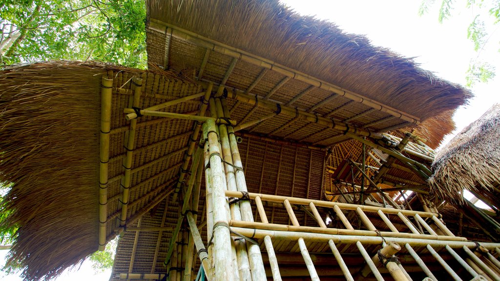 Ubud Monkey Forest showing a small town or village and tropical scenes