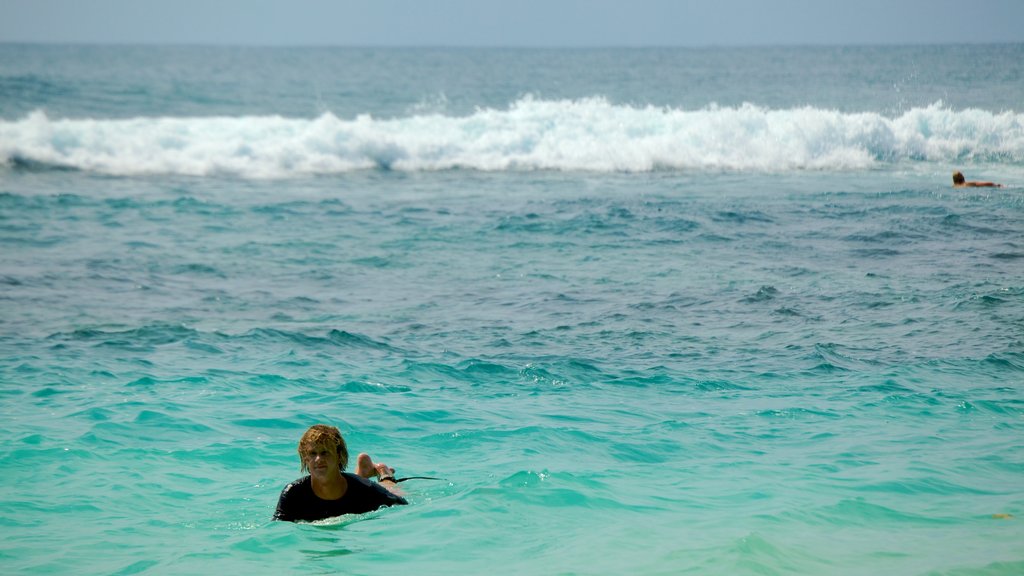 Uluwatu Beach which includes tropical scenes, surfing and waves