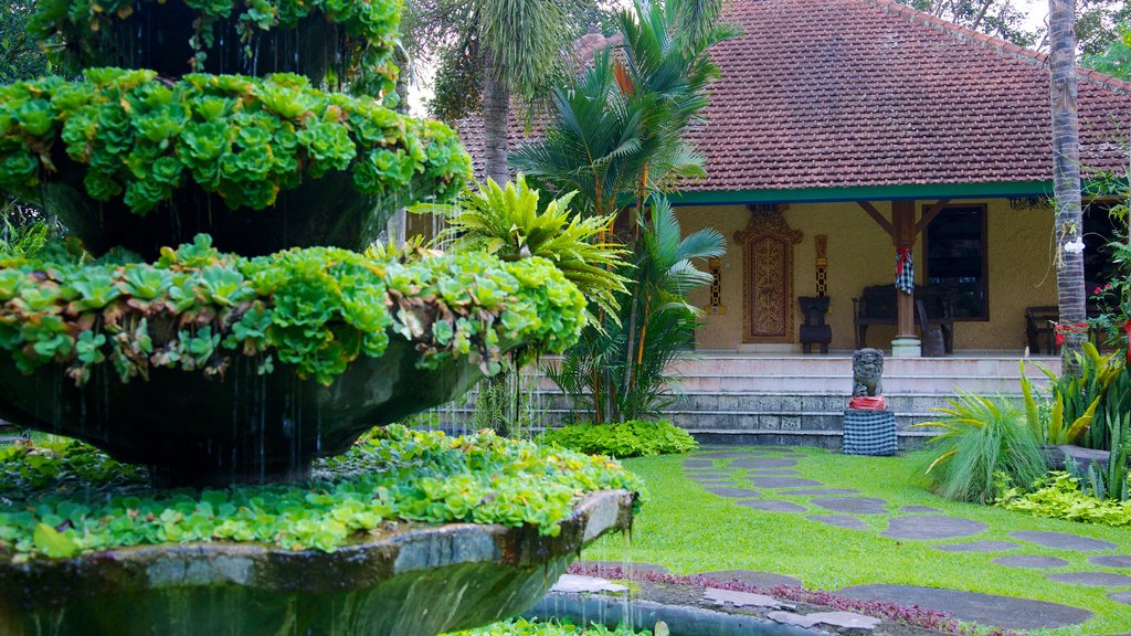 Museo Antonio Blanco mostrando una fuente y un jardín