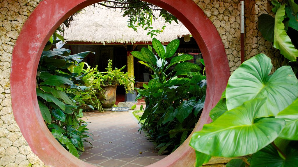 Don Antonio Blanco Museum showing a garden