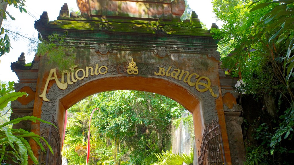 Museo Antonio Blanco que incluye un jardín y señalización