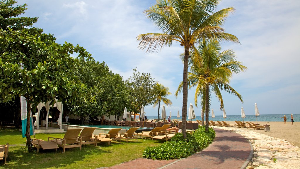 Kuta featuring a sandy beach, tropical scenes and a luxury hotel or resort