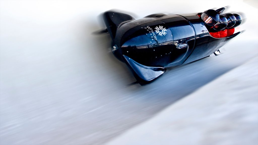 Parc national olympique du Canada qui includes neige et un événement sportif aussi bien que un petit groupe de personnes