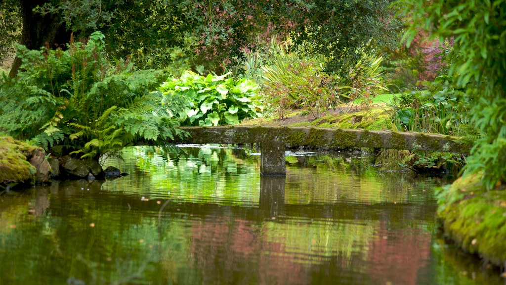 Mount Stewart House and Gardens featuring a park, a river or creek and a bridge