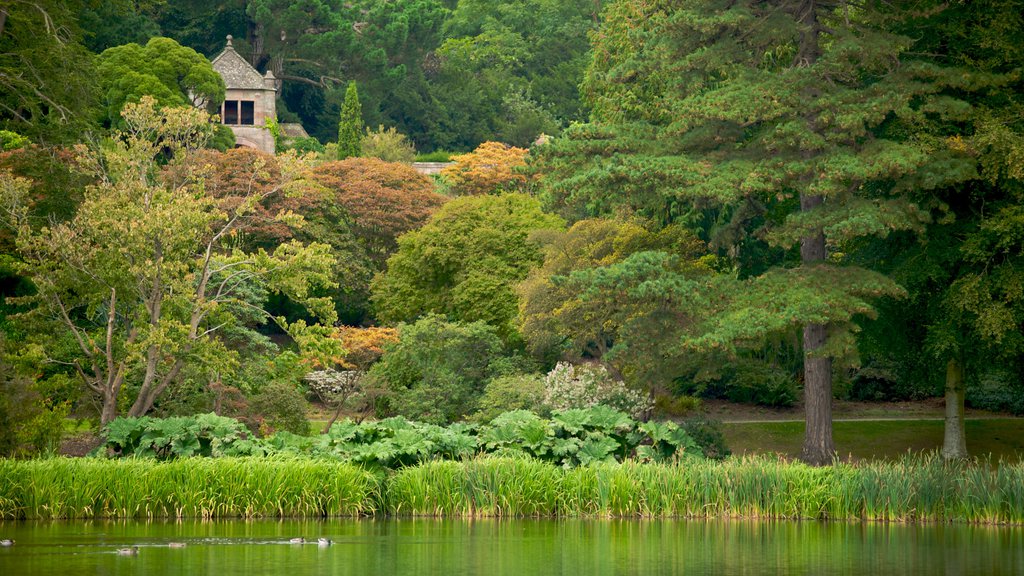 Mount Stewart House and Gardens featuring a lake or waterhole, a park and forest scenes