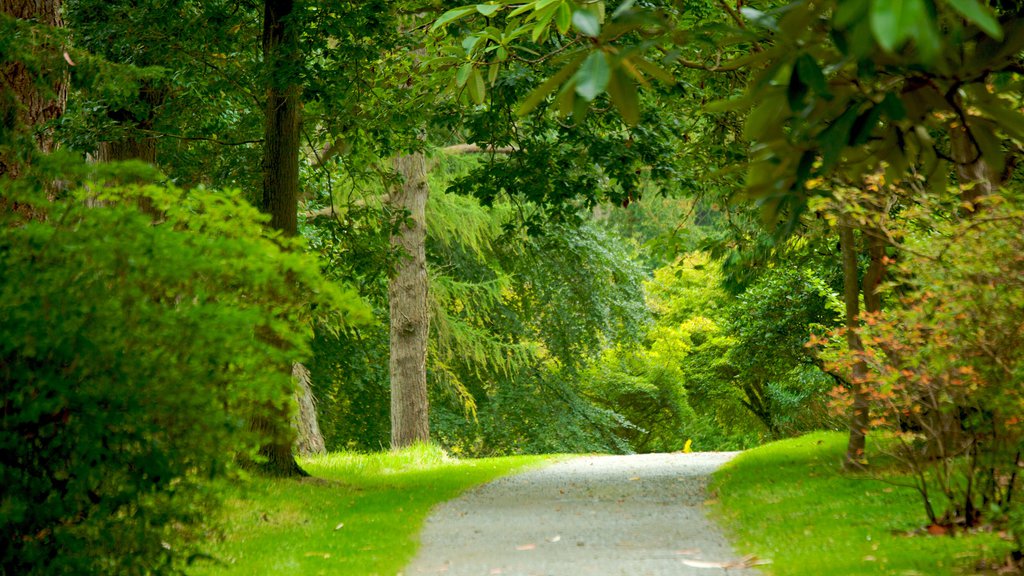 Mount Stewart House and Gardens featuring forests and a garden