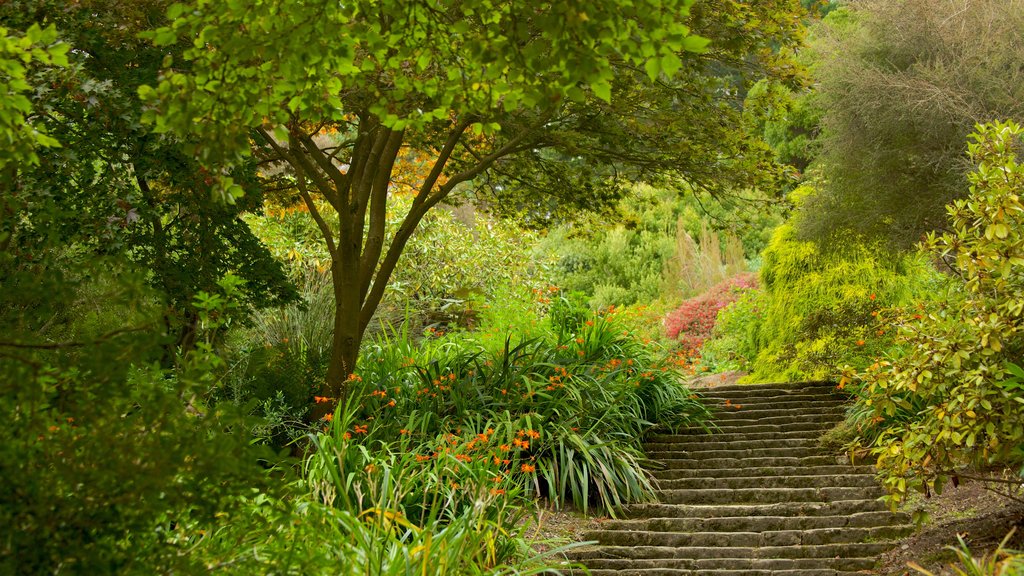 Mount Stewart House and Gardens showing a garden