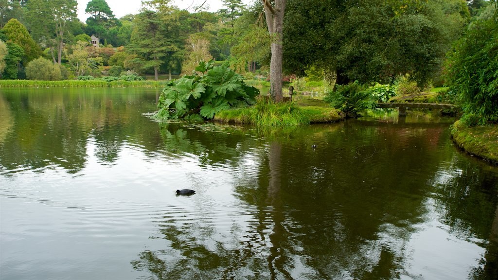 Mount Stewart House and Gardens which includes a lake or waterhole and a park