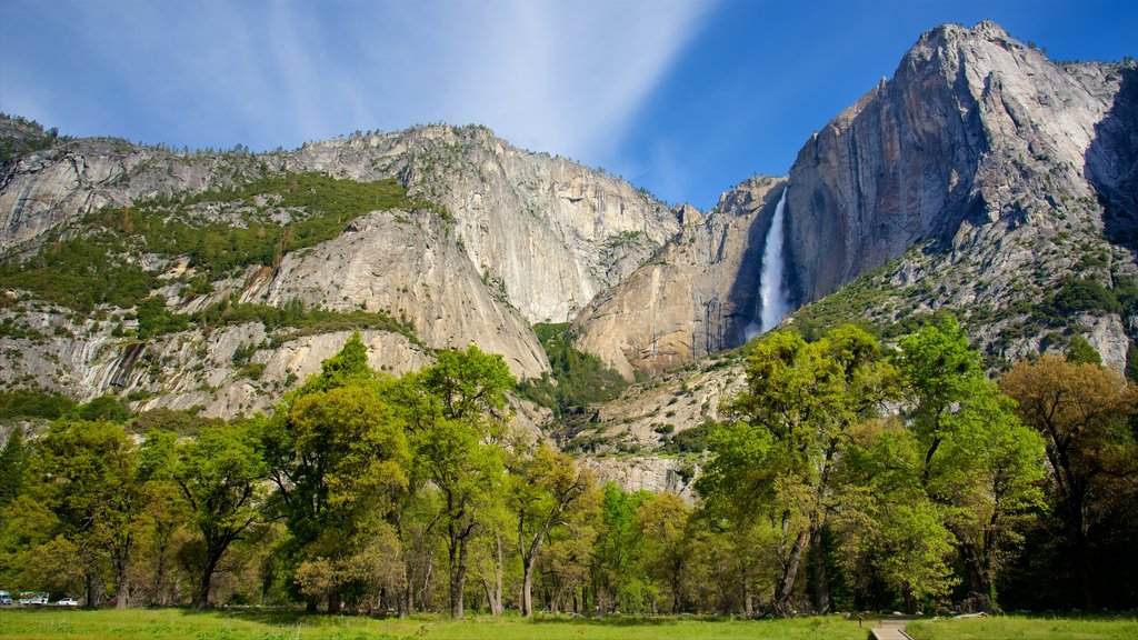 Cook\'s Meadow showing mountains and landscape views