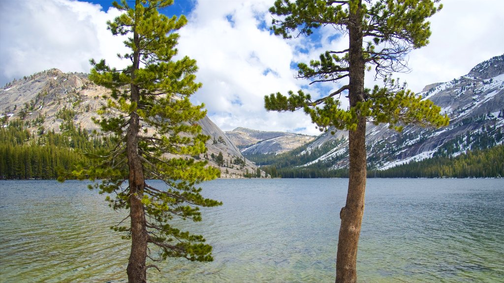 Tenaya Lake inclusief bergen en een meer of poel