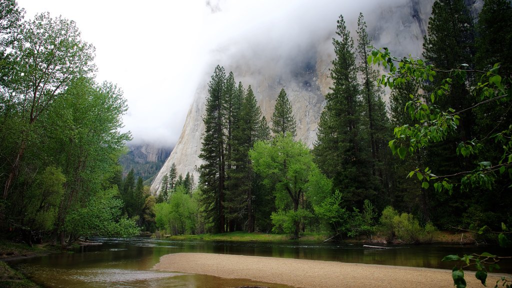 Cathedral Beach Picnic Area featuring a lake or waterhole, forest scenes and mist or fog