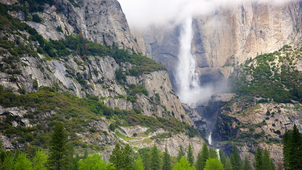 Swinging Bridge Picnic Area showing mountains and a cascade