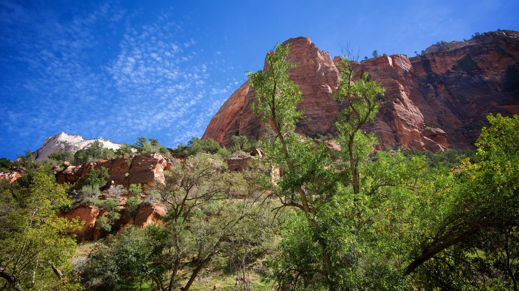 Área para piqueniques de The Grotto caracterizando um desfiladeiro ou canyon