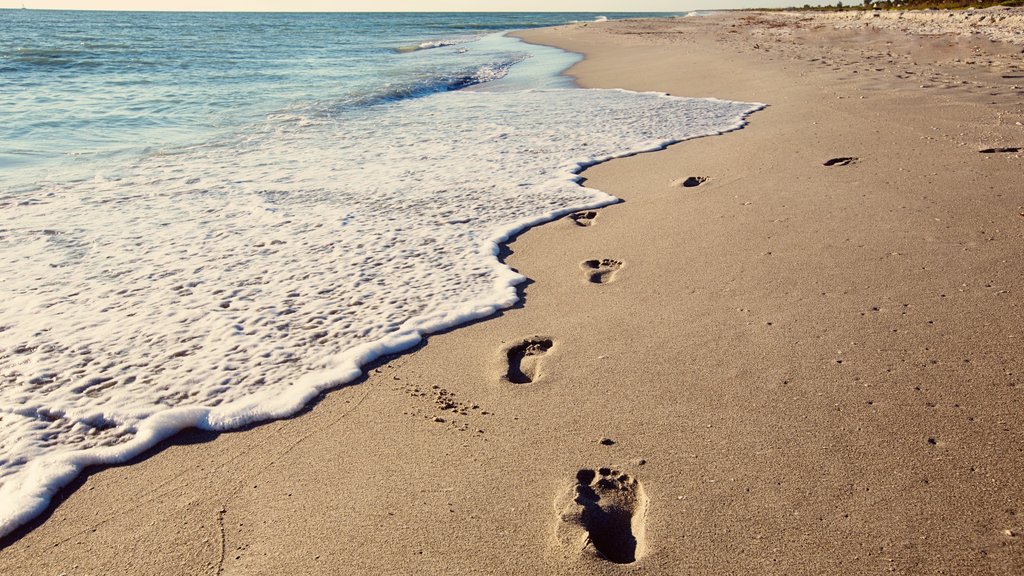 Ilha Sanibel Captiva caracterizando paisagens litorâneas e uma praia